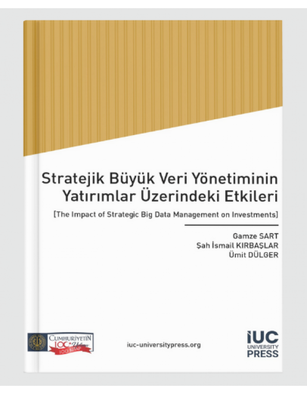 The Impact of Strategic Big Data Management on Inv...