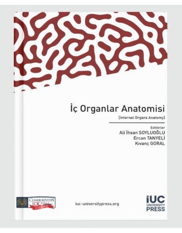 Internal Organs Anatomy 